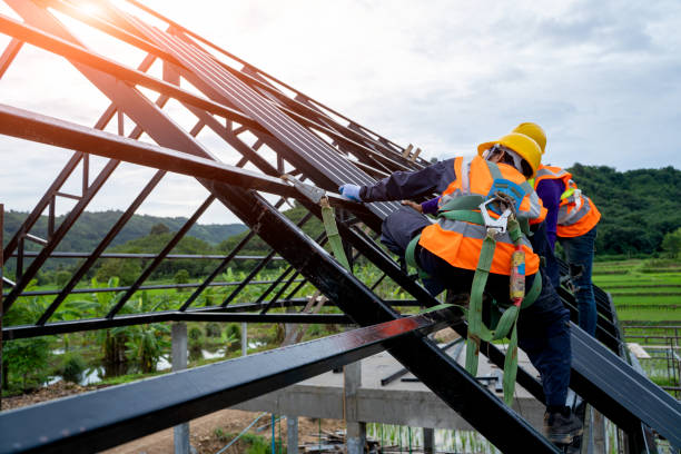 Best Roof Restoration Services  in Allen Park, MI