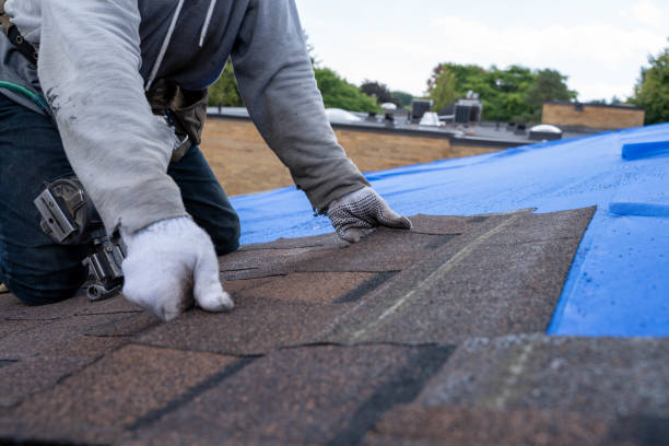 Professional Roofing Contractor in Allen Park, MI
